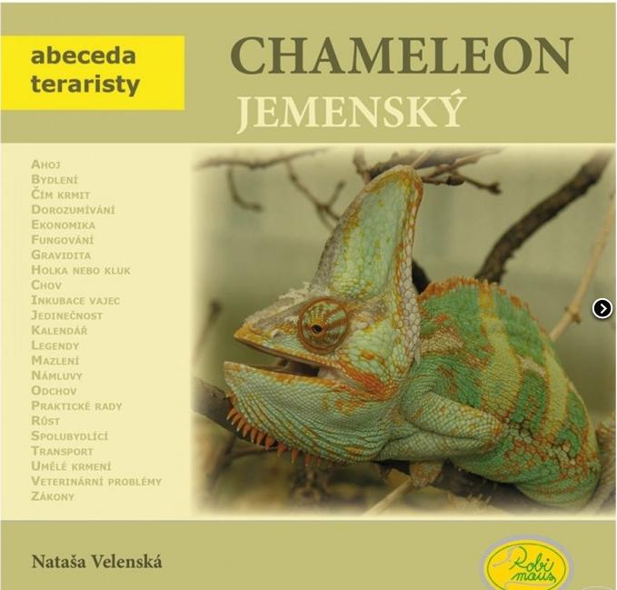 Chameleon jemenský - Robimaus