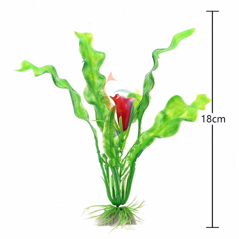Rostlina plastová Aponogeton 18 cm
