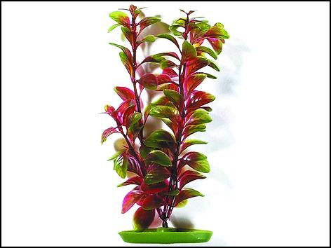 Rostlina MARINA Red Ludwigia 20 cm (1ks)