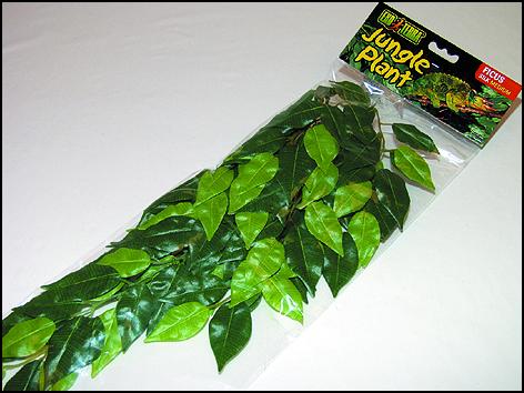 Rostlina EXO TERRA Ficus střední 55 cm (1ks)