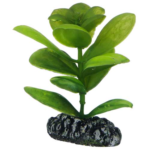 Hobby Saururus umělá rostlina 7cm