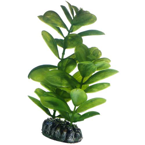 Hobby Saururus umělá rostlina 16 cm
