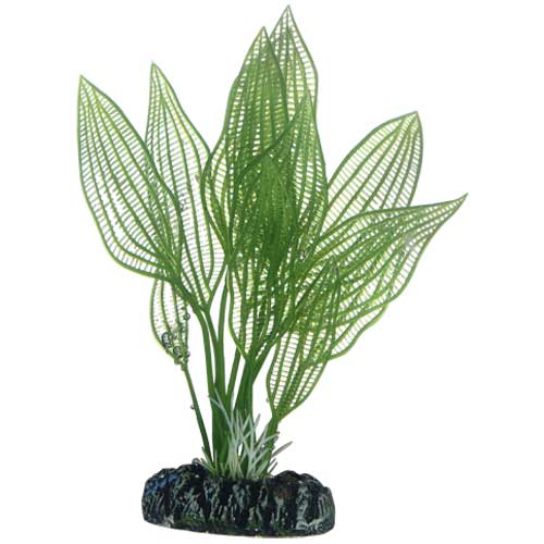 Hobby Aponogeton umělá rostlina 16 cm