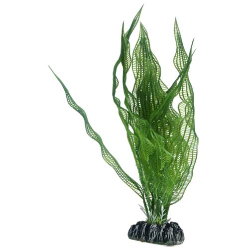 Hobby Aponogeton umělá rostlina 25cm