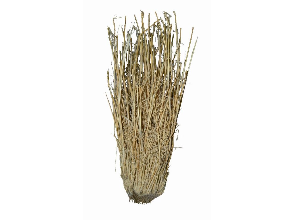 Lucky Reptile Grass Bushes 25-40 cm