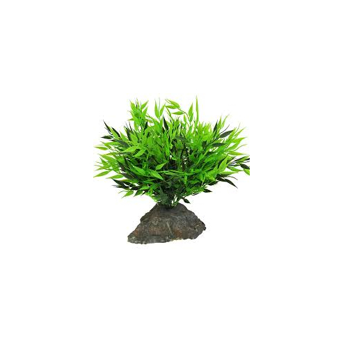 Lucky Reptile Bamboo Tufts 25 cm