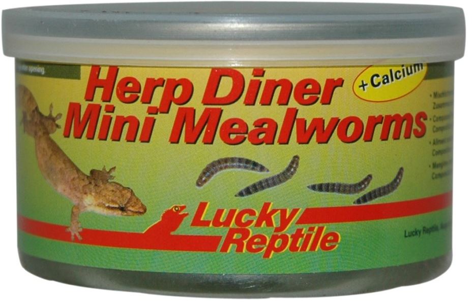 Lucky Reptile Herp Diner - mouční červi mini 35g