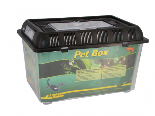 Lucky Reptile Pet Box M 32,5x22x21 cm