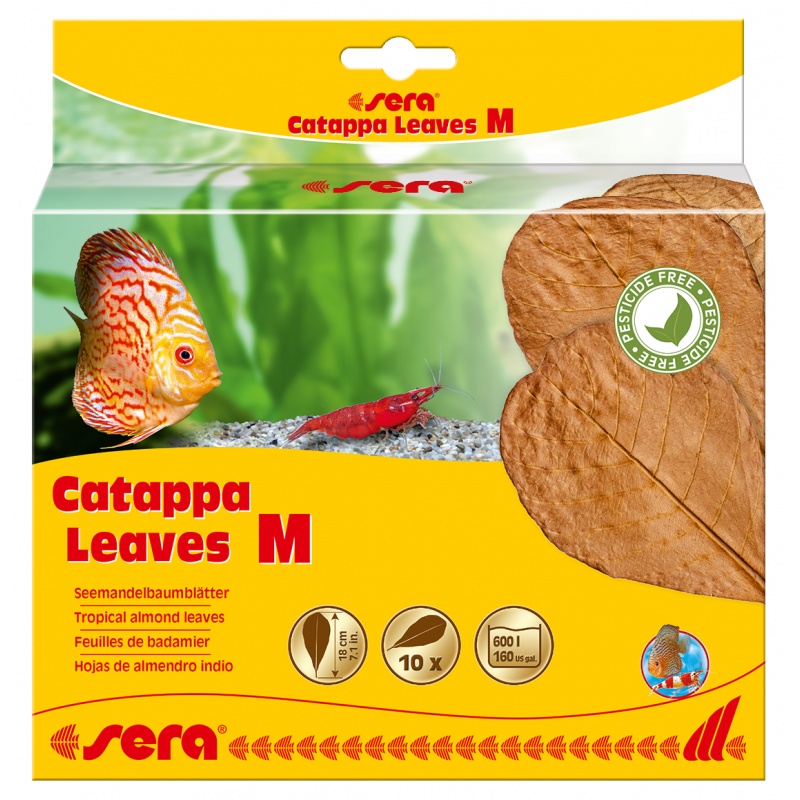 sera Catappa Leaves M 18 cm - 10 ks