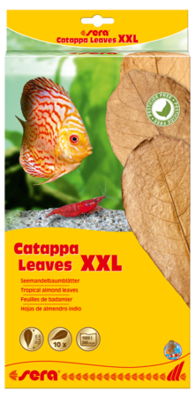 sera Catappa Leaves XXL 32 cm - 10 ks