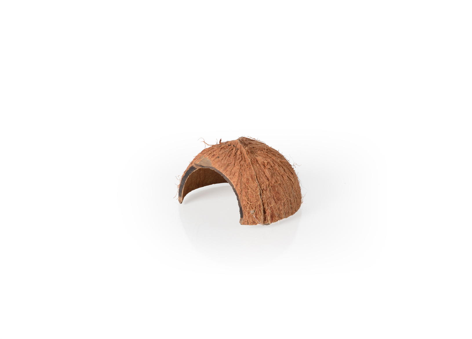 Repti Zoo kokosová skořápka s otvorem 10x8 cm