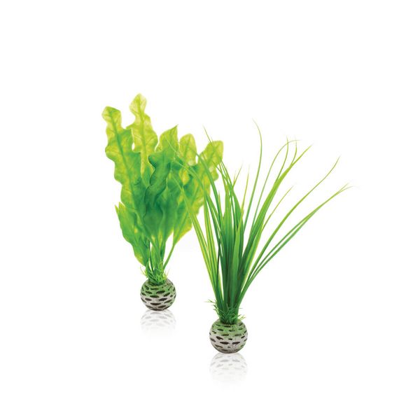 biOrb Plastová rostlina - Plant Pack Set zelená 20 cm