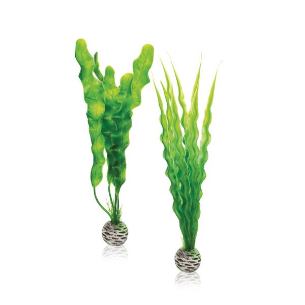 biOrb Plastová rostlina - Plant Pack Set zelená 29 cm