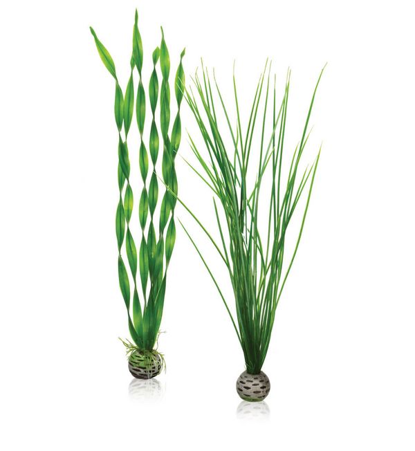 biOrb Plastová rostlina - Plant Pack Set zelená 39 cm