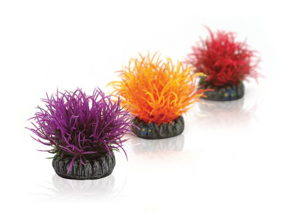 biOrb Plastová rostlina - Aquatic Colour Ball Set fialová, oranžová a rudá 5 cm