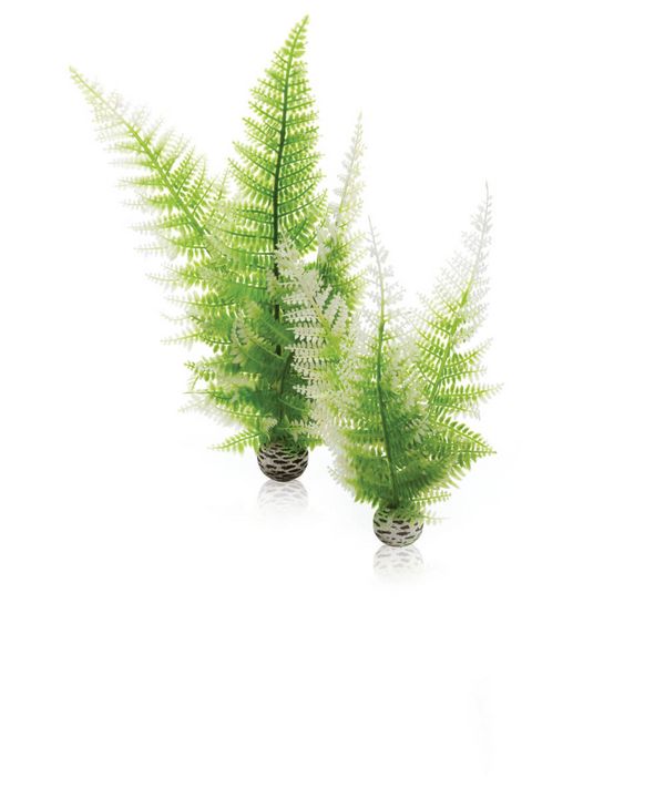 biOrb Plastová rostlina - Winter Fern Set zelená 29 cm