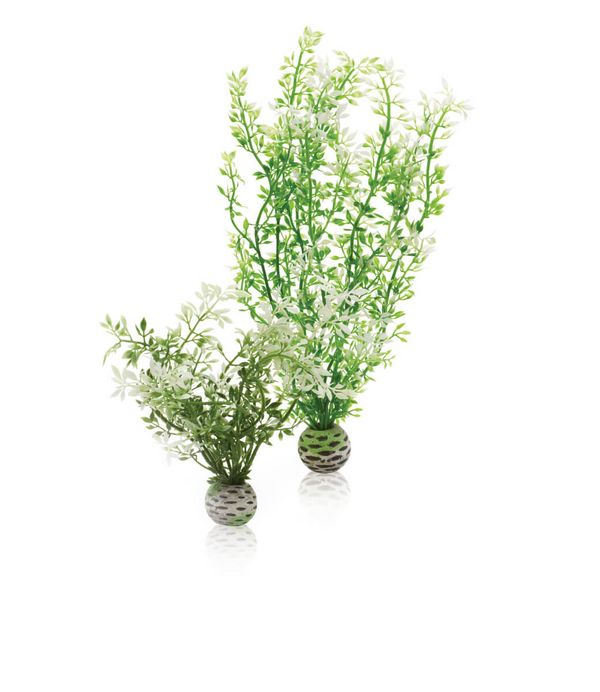 biOrb Plastová rostlina - Winter Flower zelená 29 cm