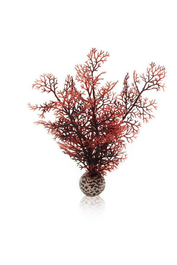 biOrb Plastová rostlina - Sea Fan karmínová 20 cm