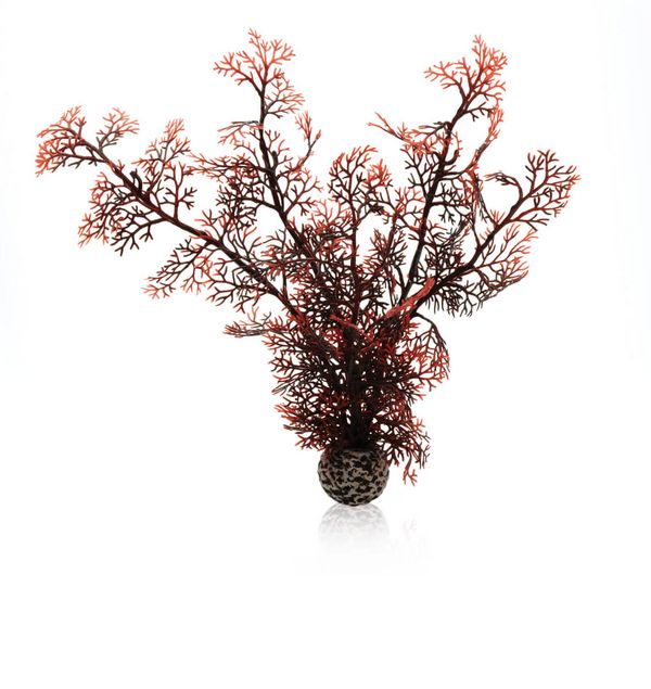 biOrb Plastová rostlina - Sea Fan karmínová 29 cm