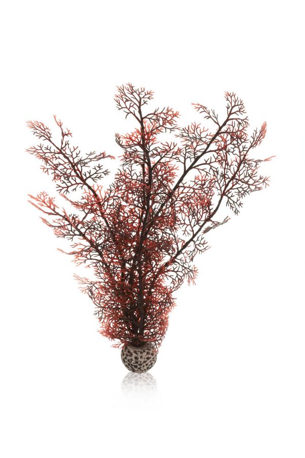 biOrb Plastová rostlina - Sea Fan karmínová 39 cm