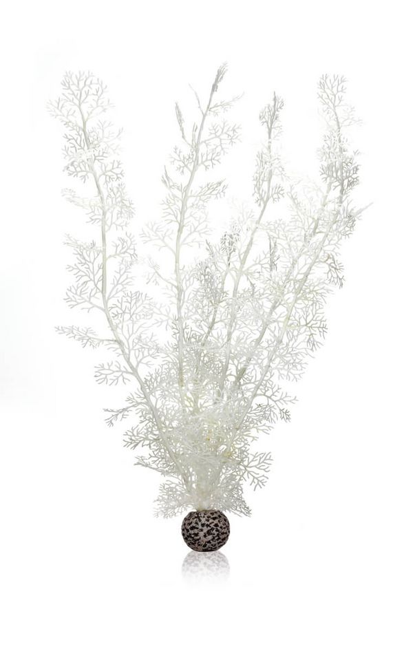 biOrb Plastová rostlina - Sea Fan bílá 49 cm