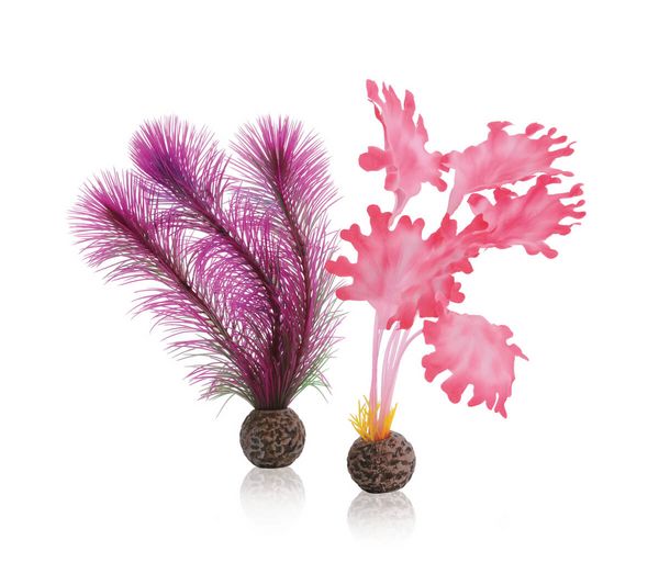 biOrb Plastová rostlina - Růžový Kelp Set 20 cm