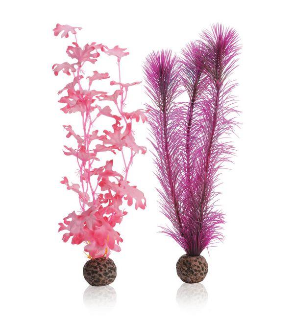 biOrb Plastová rostlina - Růžový Kelp Set 29 cm
