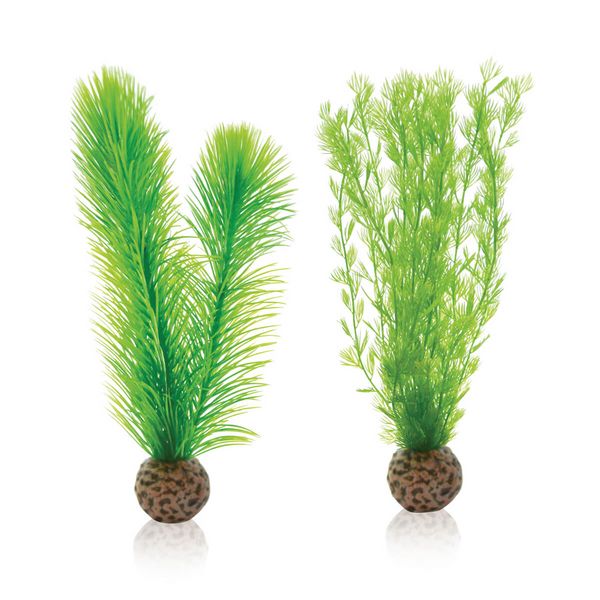 biOrb Plastová rostlina - Green Feather Fern Set zelená 20,5 cm