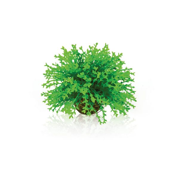 biOrb Plastová rostlina - Topiary Ball - Zelená 5 cm