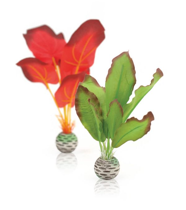 biOrb Plastová rostlina - Plant Set zelená a rudá 20 cm