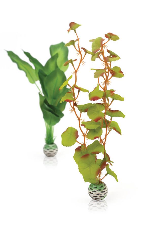 biOrb Plastová rostlina - Silk Plant Set zelená 29 cm