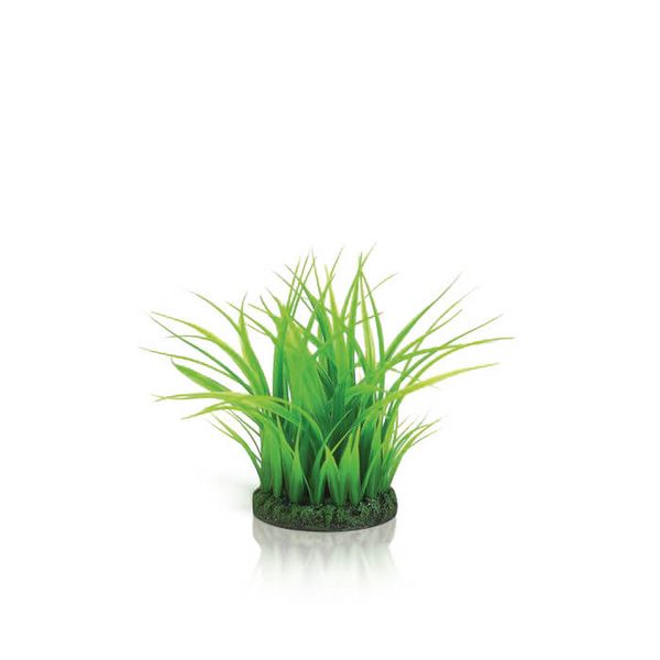 biOrb Plastová rostlina - Grass Ring zelená 15 cm