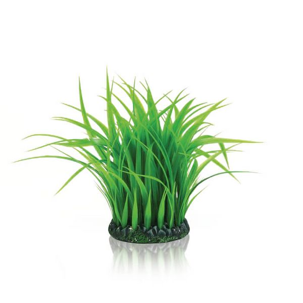 biOrb Plastová rostlina - Grass Ring zelená 21 cm