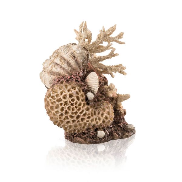 biOrb Umělá dekorace - Coral-Shells Ornament natural 22 cm