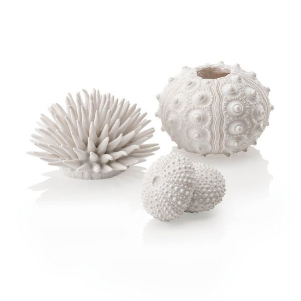biOrb Umělá dekorace - Sea Urchins Set bílý