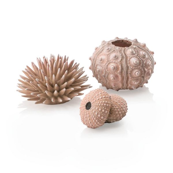 biOrb Umělá dekorace - Sea Urchins Set natural
