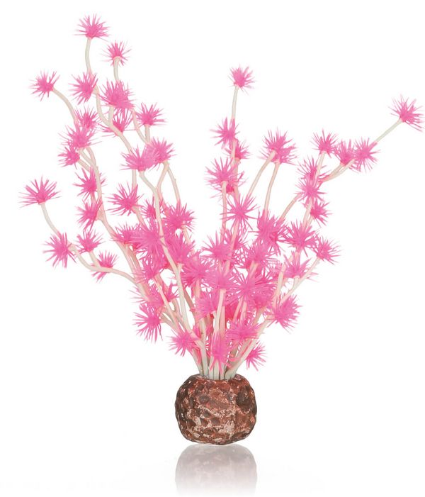 biOrb Plastová rostlina - Bonsai Ball růžová