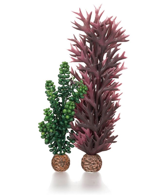 biOrb Plastová rostlina - Seapearls & Kelp olivově zelená