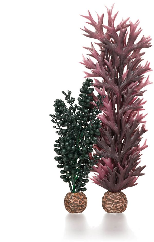 biOrb Plastová rostlina - Seapearls & Kelp tmavě zelená