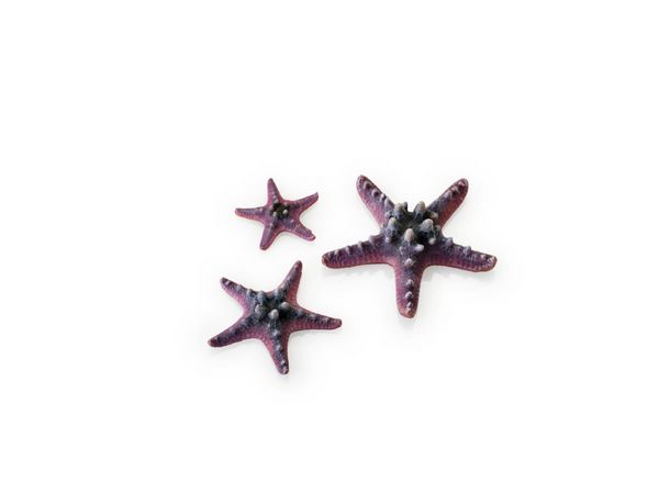 biOrb Umělá dekorace - Sea Stars Set růžová 10, 8 a 5 cm