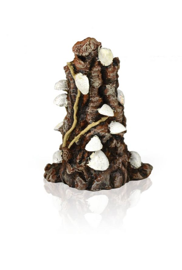 biOrb Umělá dekorace - White Shells on Stump Ornament 12,5 cm