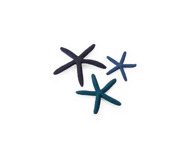 biOrb Umělá dekorace - Star Fish Decor set modrá 12, 10 a 8 cm