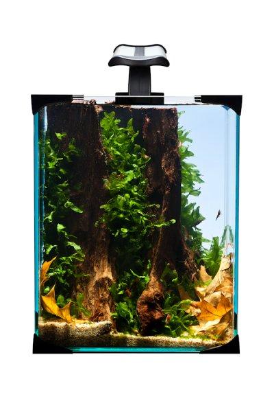 Diversa NanoLED set 10L