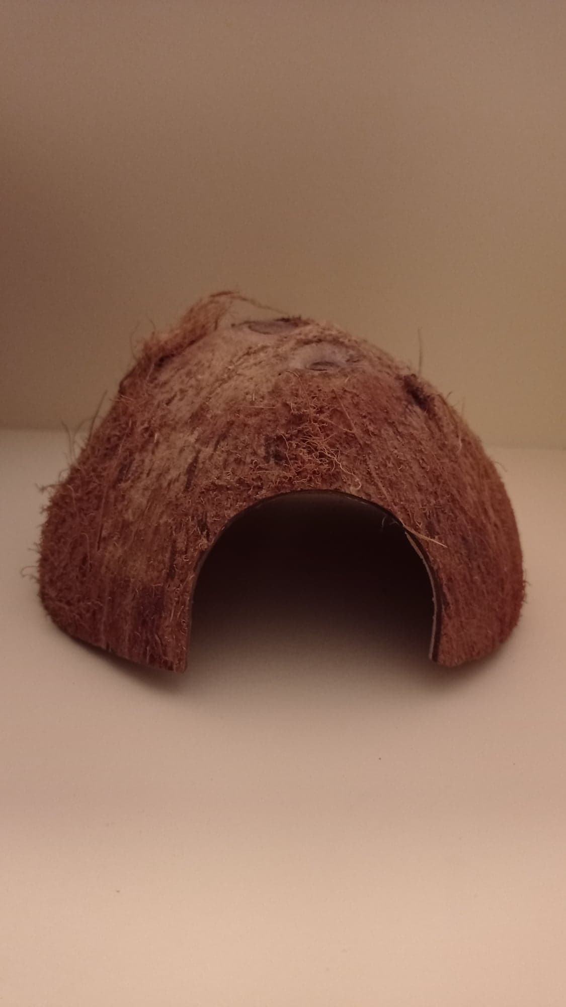Kokosová skořápka půlená s otvorem