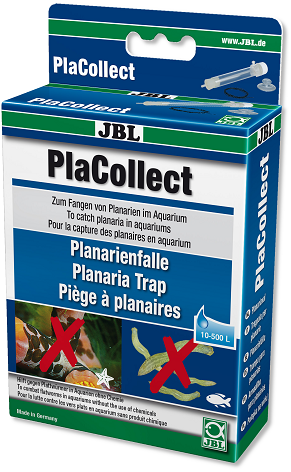 JBL PlaCollect