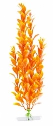 JK Orange ludwigia 18-21 cm