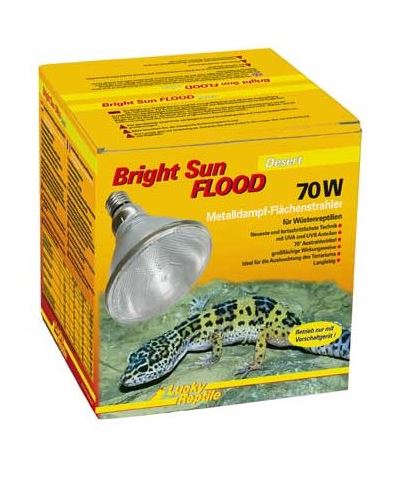 Lucky Reptile Žárovka Bright Sun FLOOD Desert 70 W