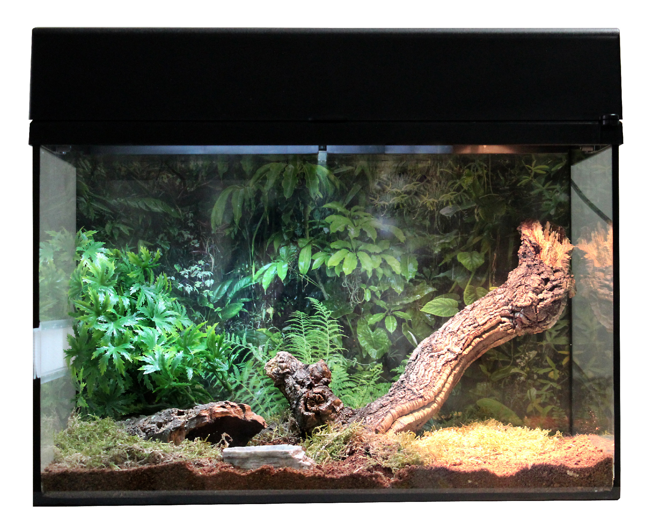 Lucky Reptile Starter Kit Tarantula + Scorpion 50x28x40 cm bílé