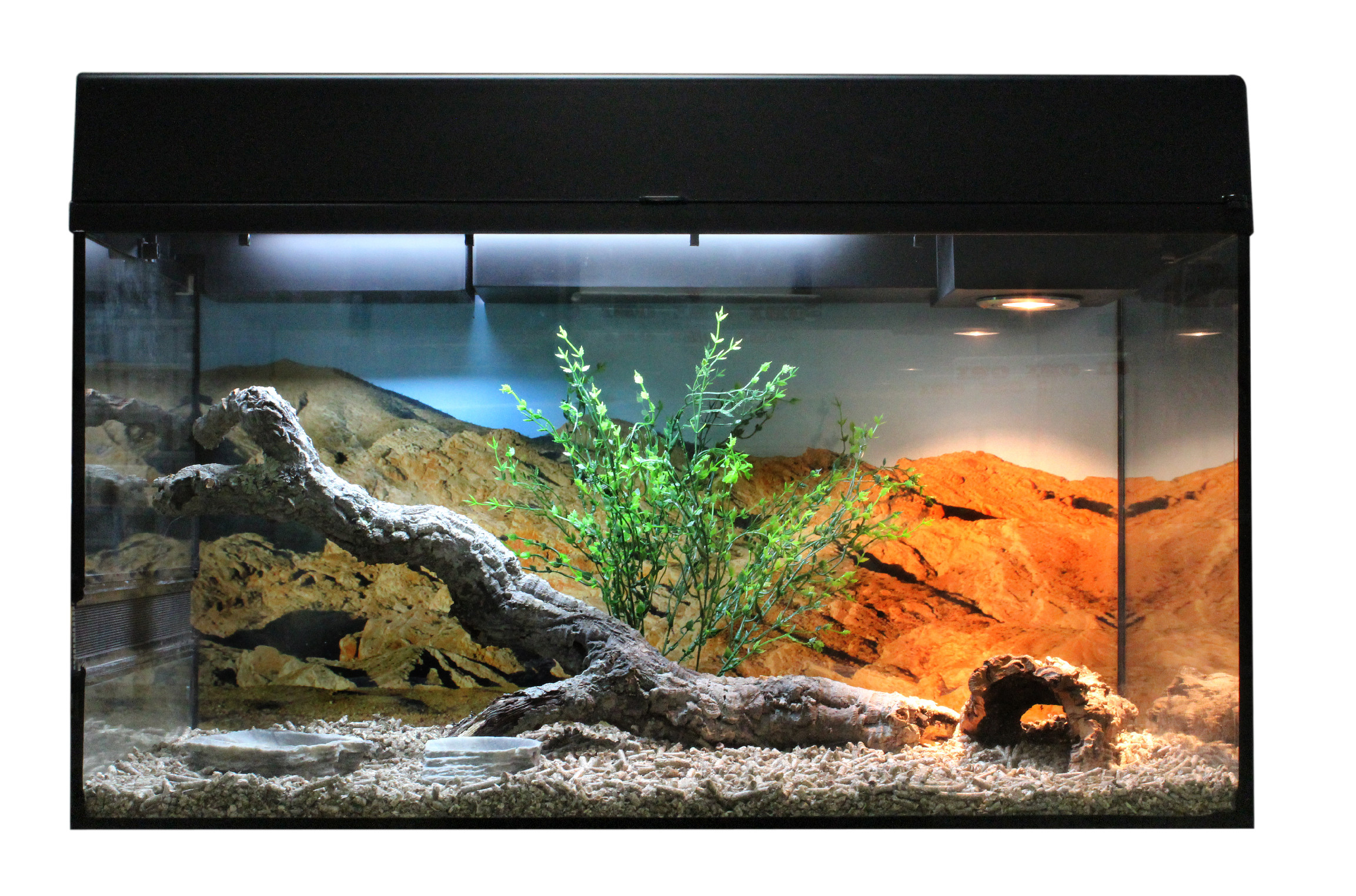 Lucky Reptile Starter Kit Bearded Dragon 80x40x52 cm bílé