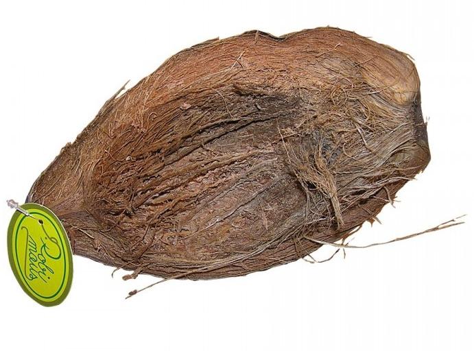 Kokosová slupka